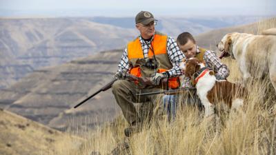 Hunting forecast