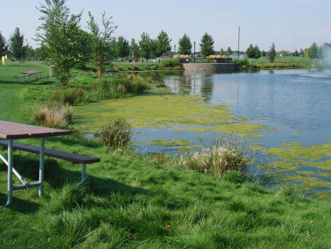spring kleiner pond.jpg