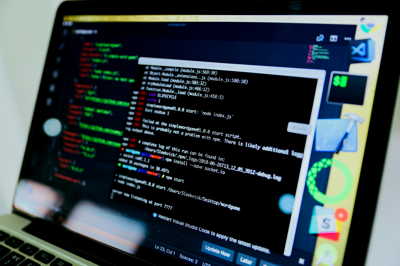 hacker, virtual, crime, kidnapping, ransomware,