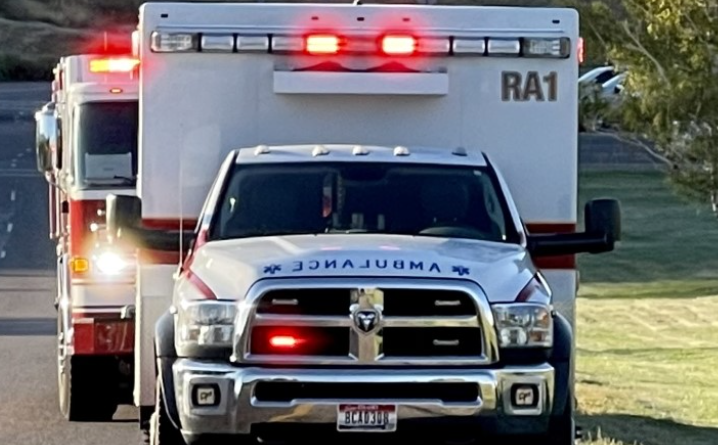 Coroner identifies Pocatello man fatally struck by semi on I-15, Idaho Falls man killed after crashing into tree