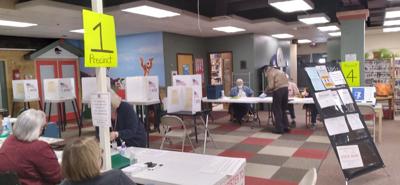 School district election, levy