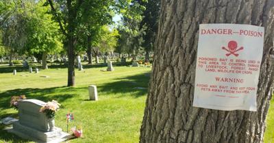 Poison sign at the cemetery