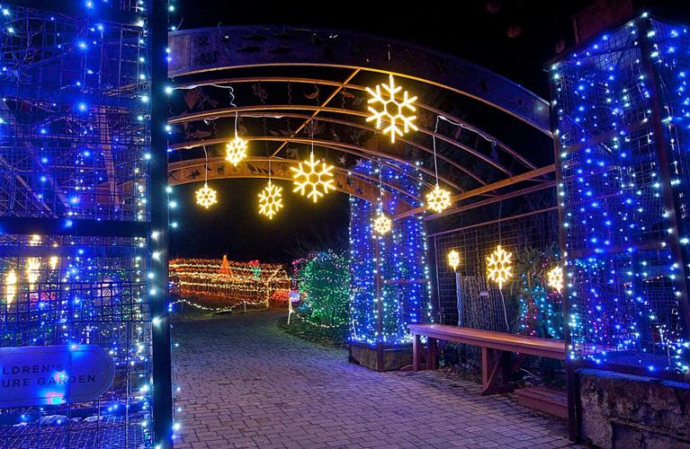 Winter Garden aGlow