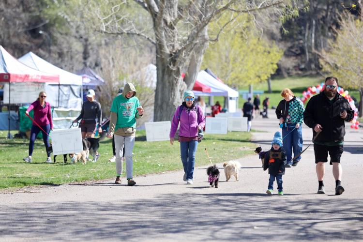 Photos of Run with the Big Dogs at Ross Park in Pocatello | Local ...