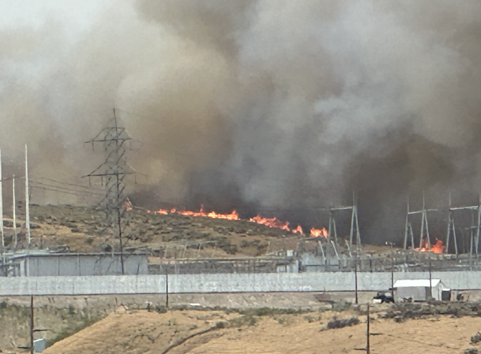 Wildfire