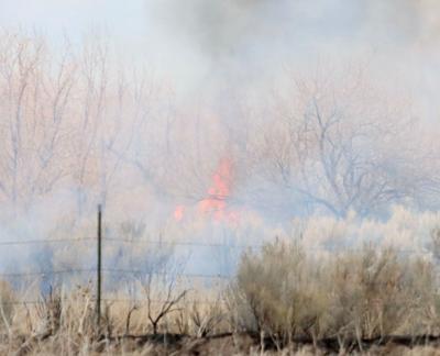 Fort Hall wildfire
