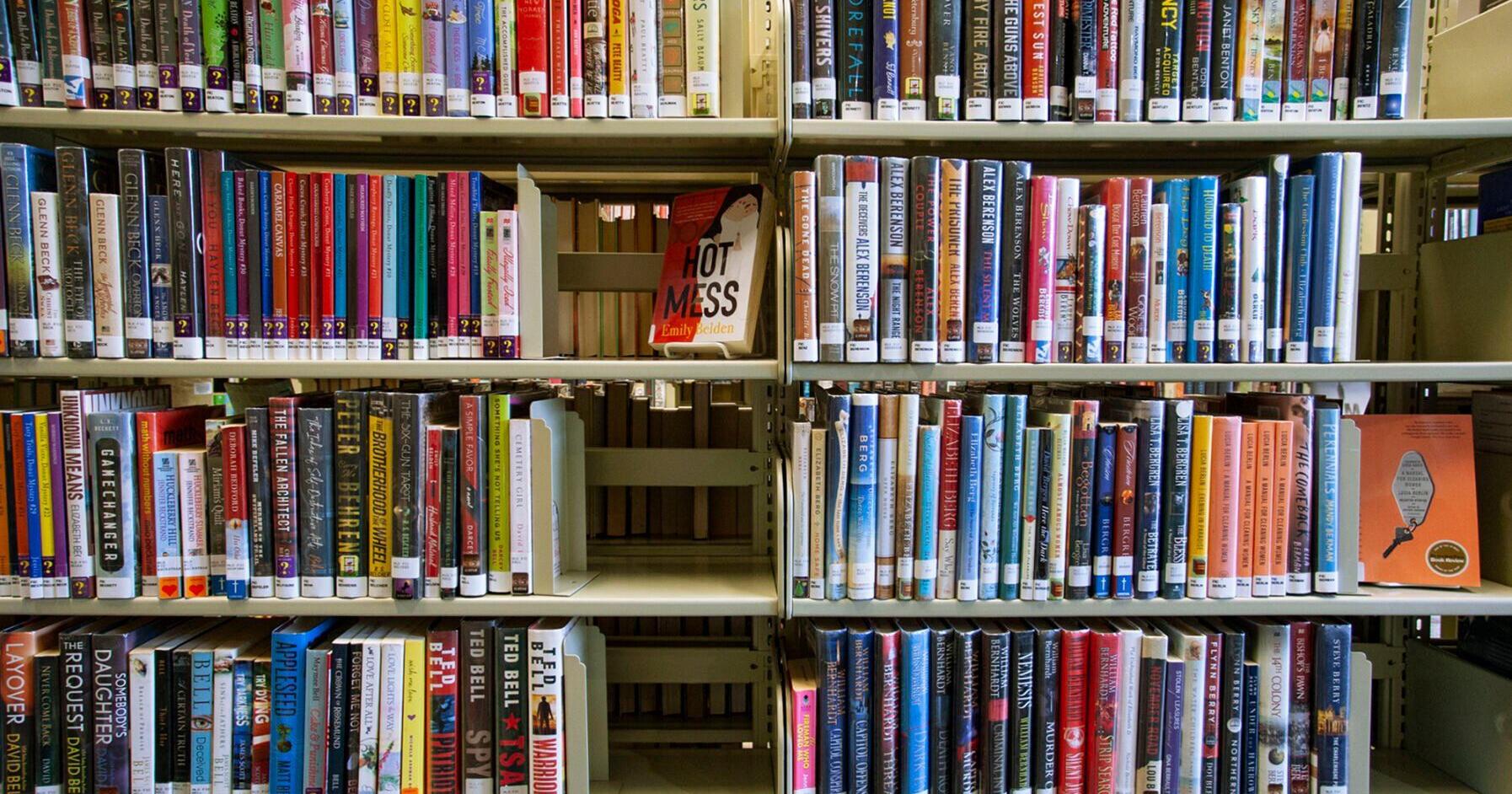 Idaho Senate defeats library porn bill by one vote - Vimarsana News