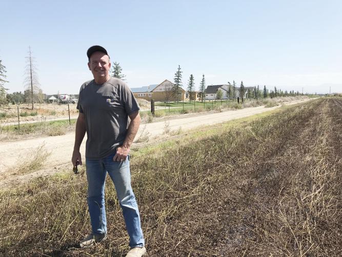 Mike Moyle mint field
