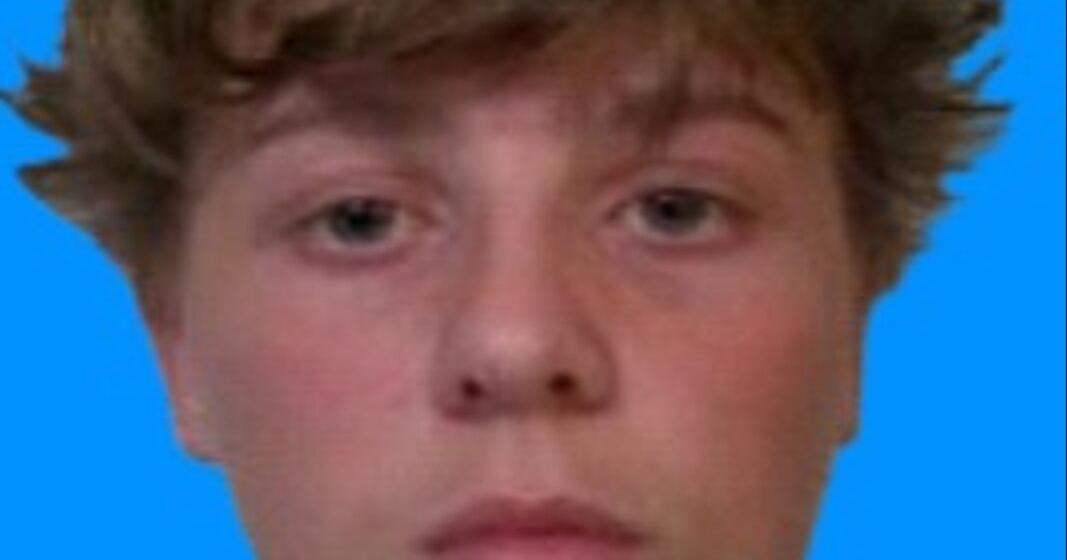 Police asking for public's help in search for missing 15-year-old local ...
