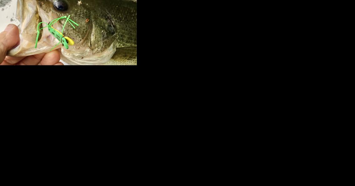 Mysterious state record largemouth bass vindicated on 75th anniversary - Vimarsana News
