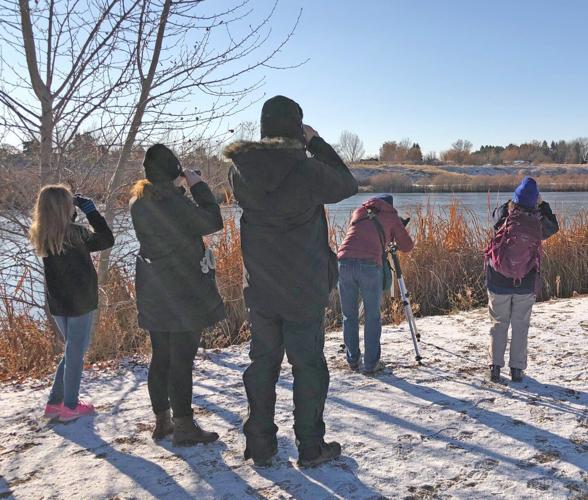 Birders at Hyatt Lakes by Dondi Black.jpg