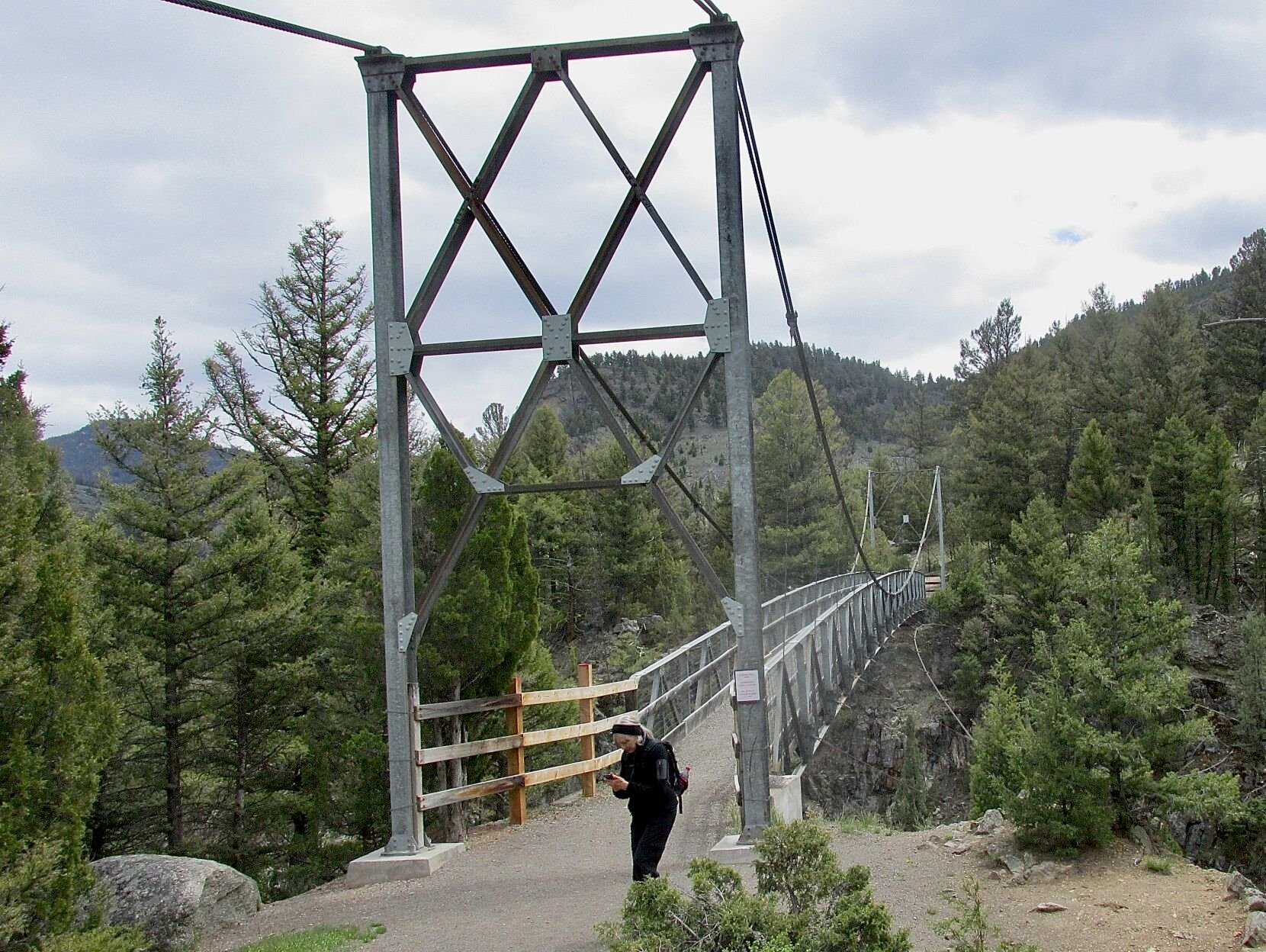 Hike Yellowstone s Hellroaring Creek Trail for a scenic treat