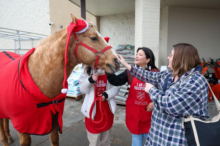 Horsepower helping to drive donations for local Salvation Army's Red ...