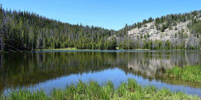 The Salmon-Challis National Forest
