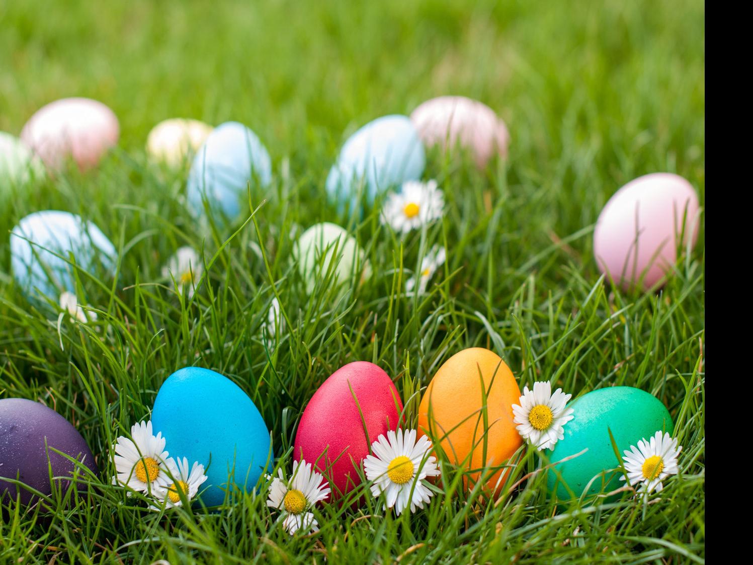Where To Hunt Easter Eggs This Weekend Community