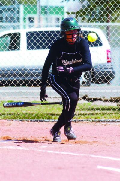 Preston, Blackfoot softball