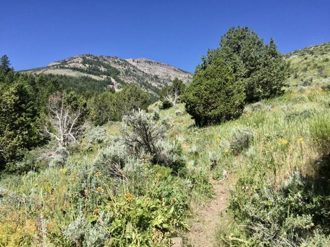 Rowley Canyon