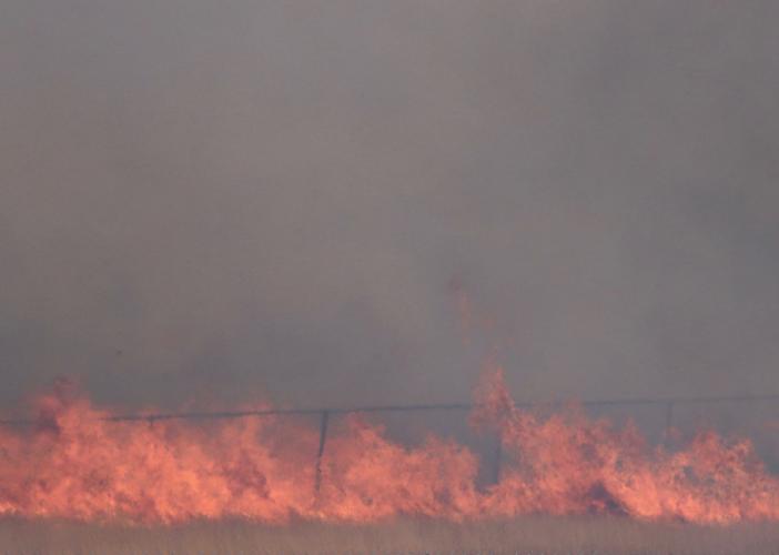 Wildfire on Pocatello's east side (flames)