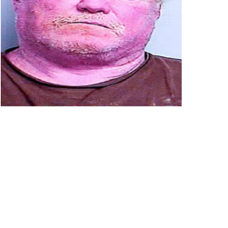 Man arrested for firing gun during traffic dispute | Local ...