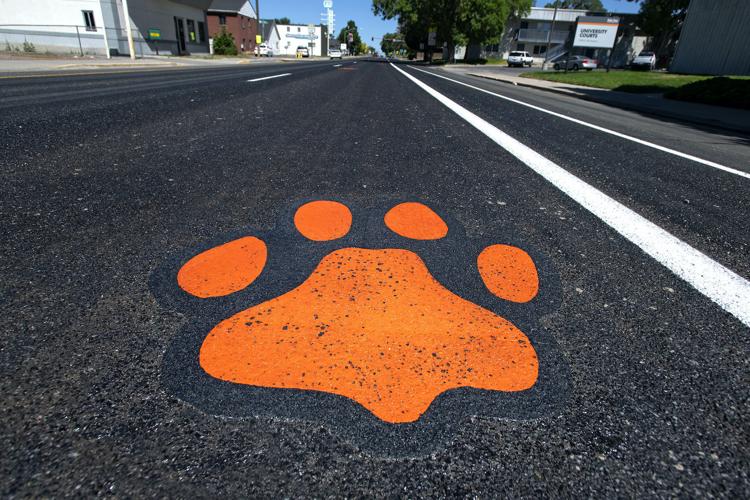 Paws