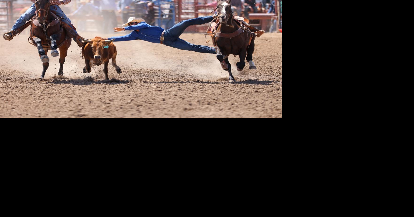 Photos of Idaho State High School Rodeo Finals at the Bannock County ...