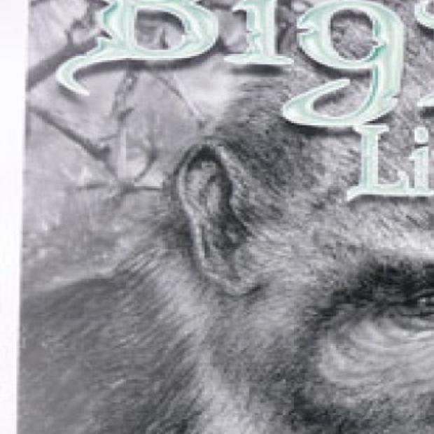 Bigfoot Legend Gains Momentum Members Idahostatejournal Com