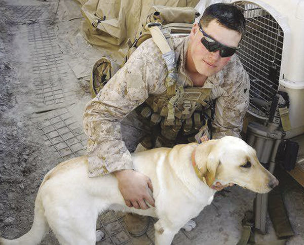 marine to reunite with his bomb sniffing canine local marines dog handler