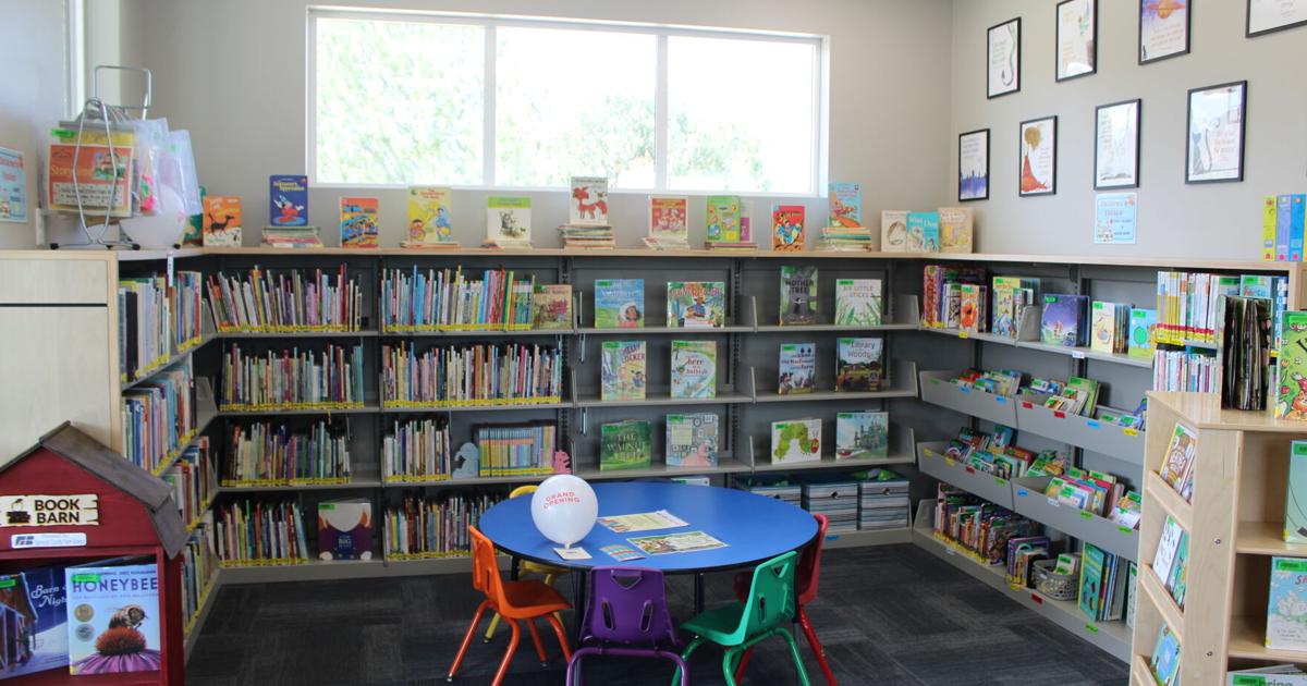 Pilcrow Foundation grant brings 103 new books to Inkom library