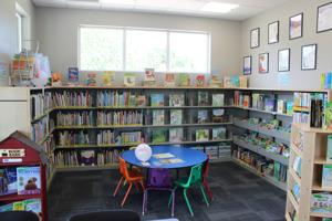 Pilcrow Foundation grant brings 103 new books to Inkom library