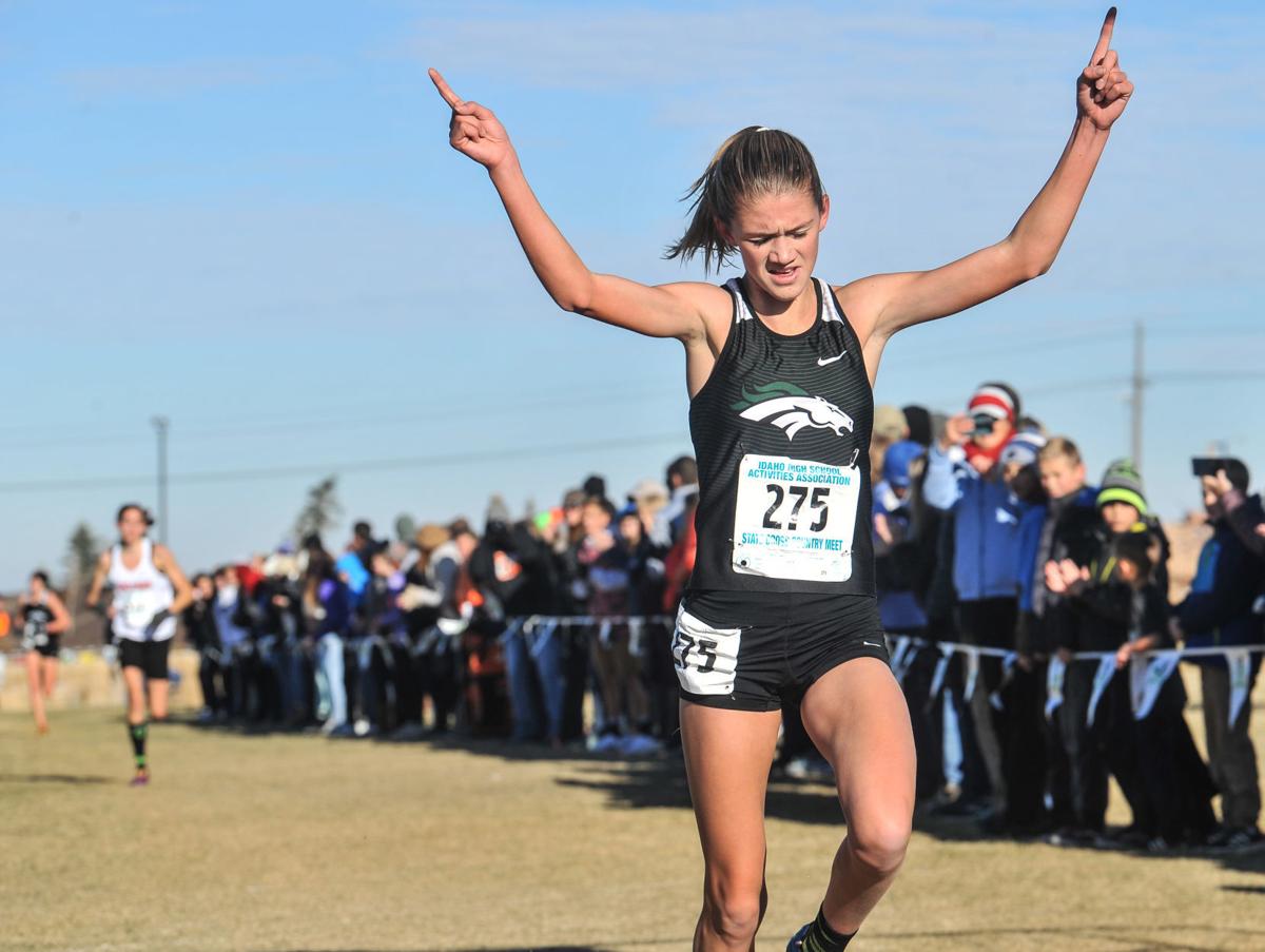 Cross country roundup: Local teams, individuals find success at state ...