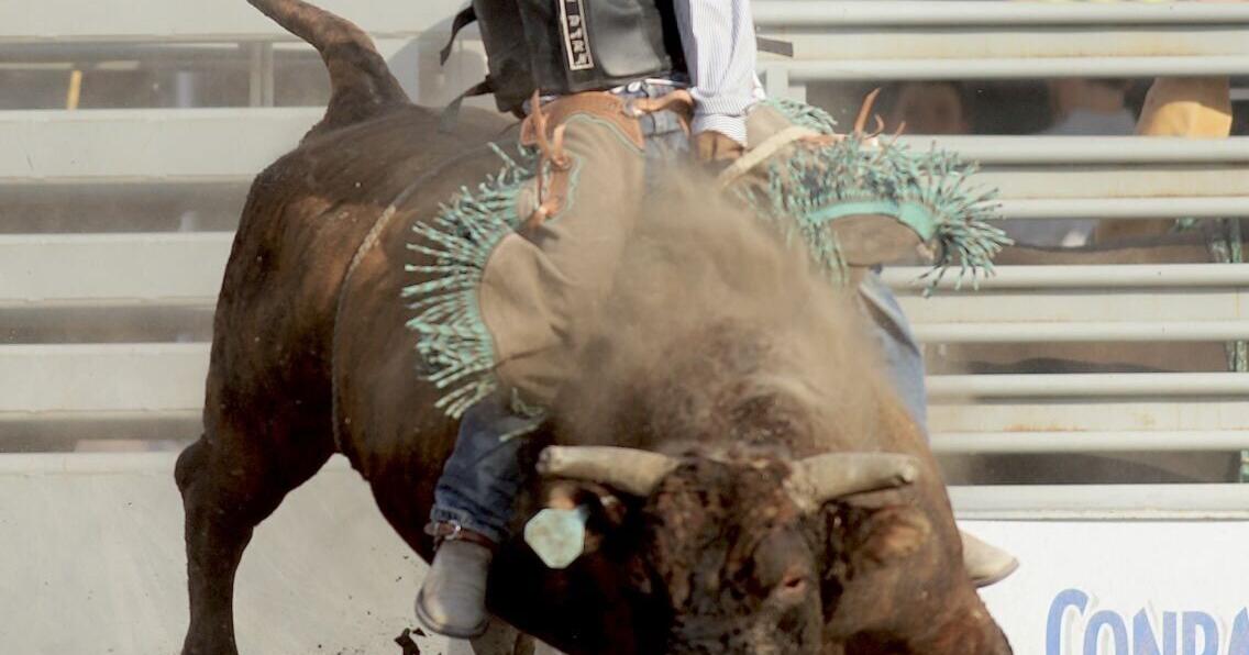 'Isn't that cute': Rigby's Dance tackles bulls, not quarterbacks