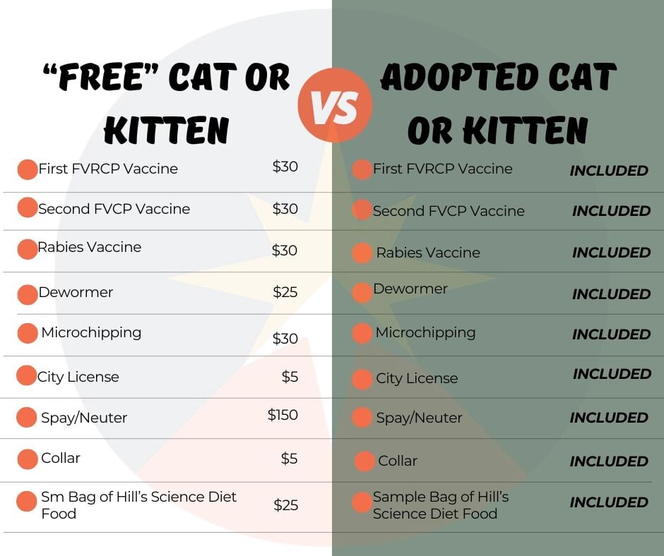 Pocatello Animal Services adoption fees to increase Thursday | Psa