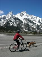 Grand Teton National Park implements changes to handle spring crowds