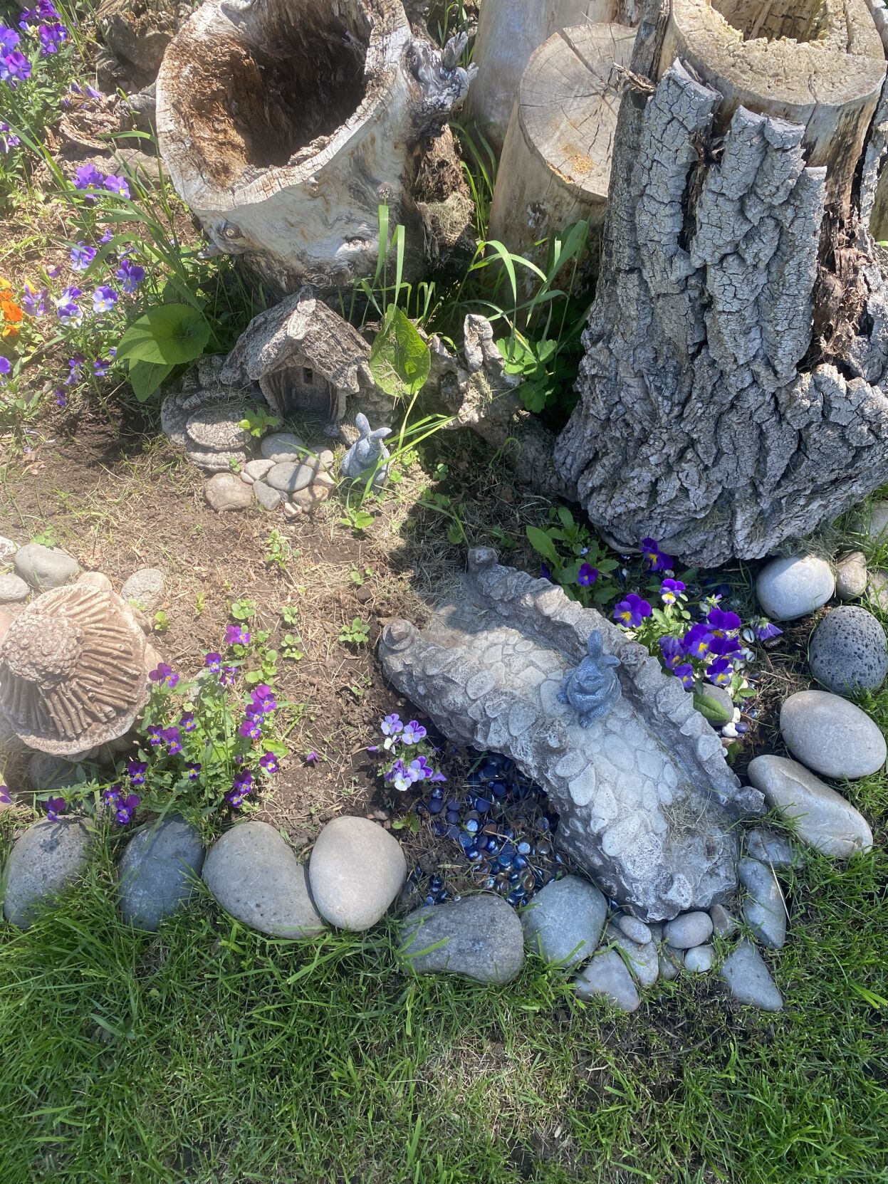 Bunny Hollow