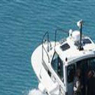 Holy Carp! 67-pound invasive fish caught in Oklahoma, image size:1200x1200