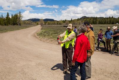 Bear spray demo