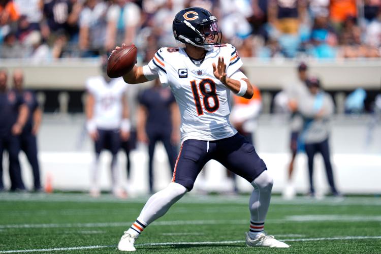 Bears Panthers Football