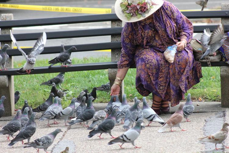woman feeding pigeons in Washington, DC by Elvert Barnes .jpg