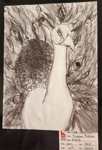 The Peacock