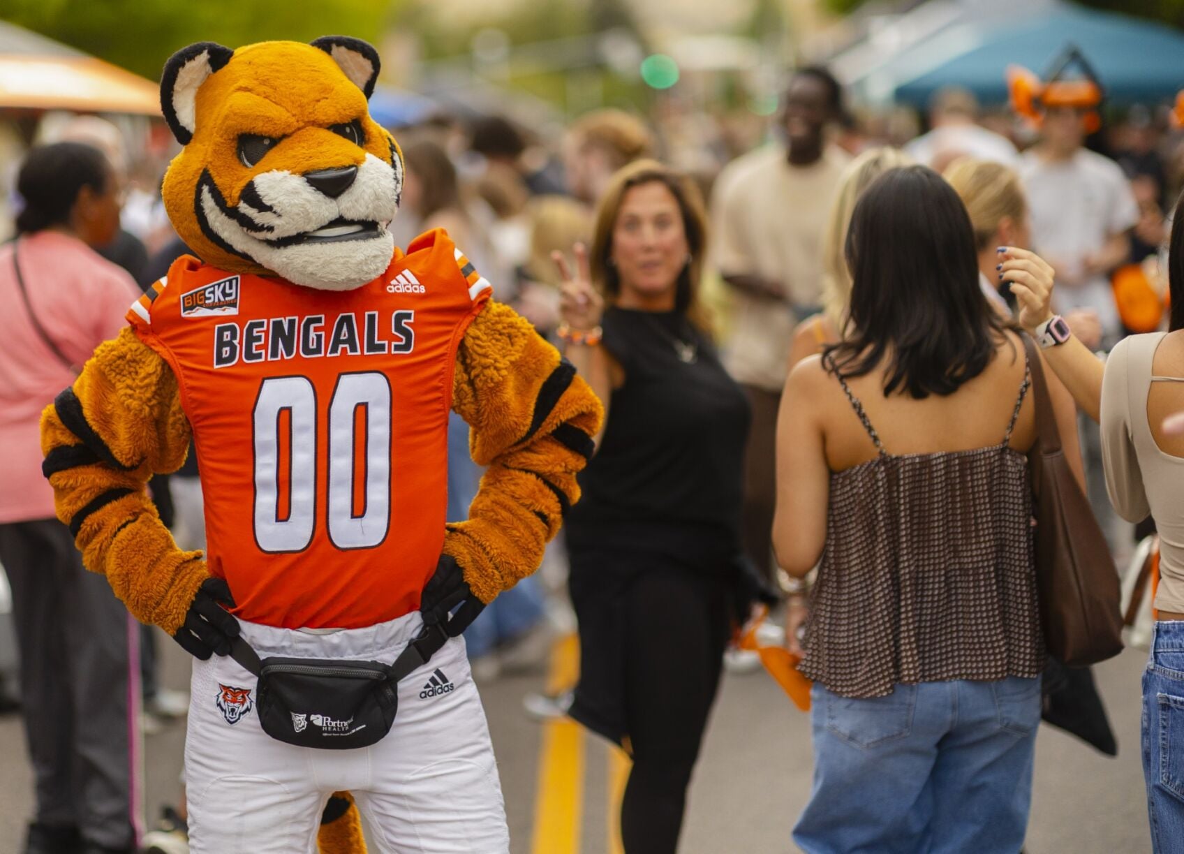 bengalblock.jpeg