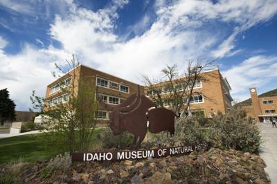 Idaho Museum of Natural History (copy)