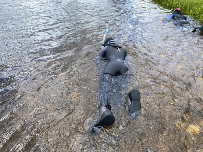 Snorkeler in the water