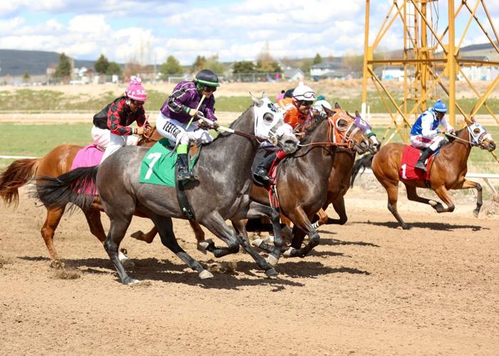 PHOTO GALLERY Horse racing at Pocatello Downs Freeaccess