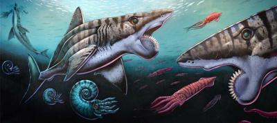 Sharks
