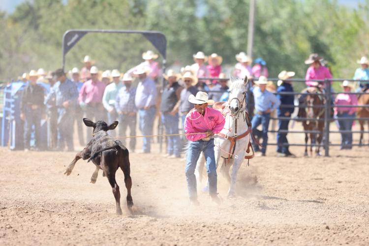 Photos of the Jr. High State Rodeo at the Bannock County Event Center ...