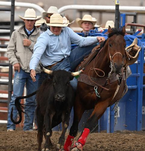 steer wrestling#2_1326.jpeg