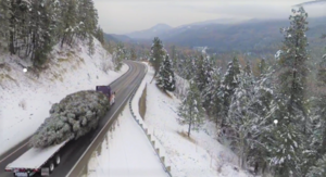 This year's US Capitol Christmas tree will come from Idaho