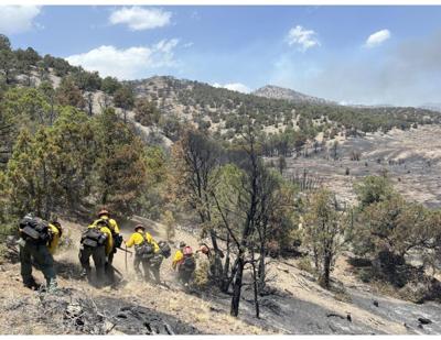 firefighters Cottonwood Fire