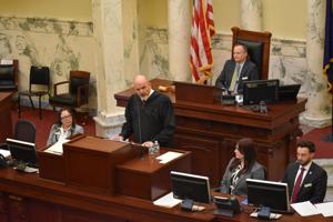 Idaho Supreme Court chief justice highlights loss of peer support services in annual address
