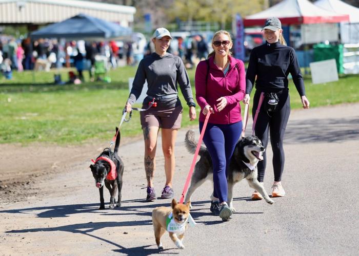 Run with the Big Dogs file photo